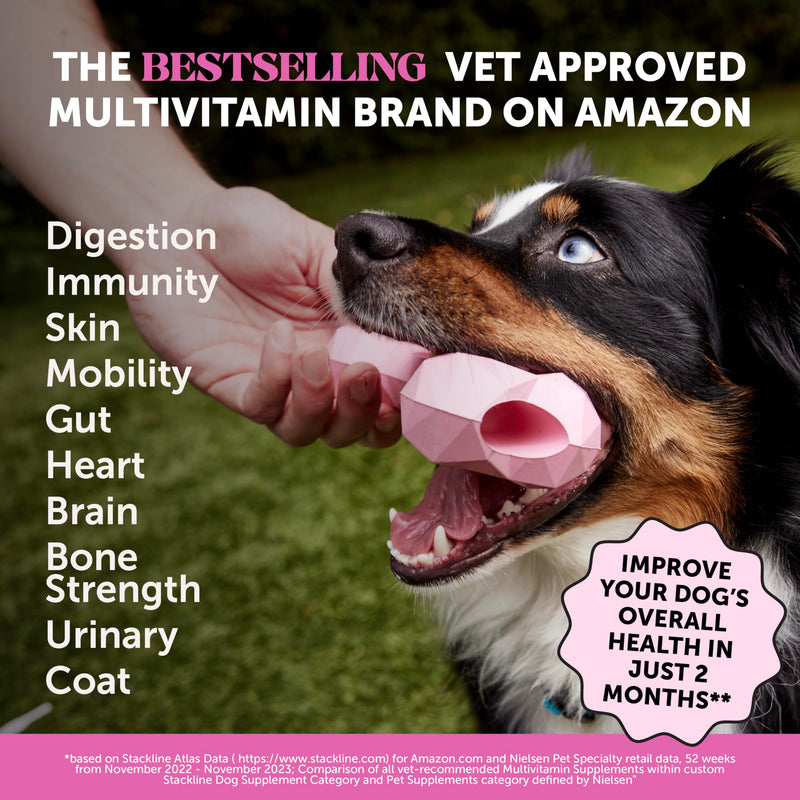Daily Essentails Virtual Bundle - Dog Multivitamin for Dogs + Dental Powder for Teeth Cleaning & Plaque Removal, Skin, Coat, and Allergy Support