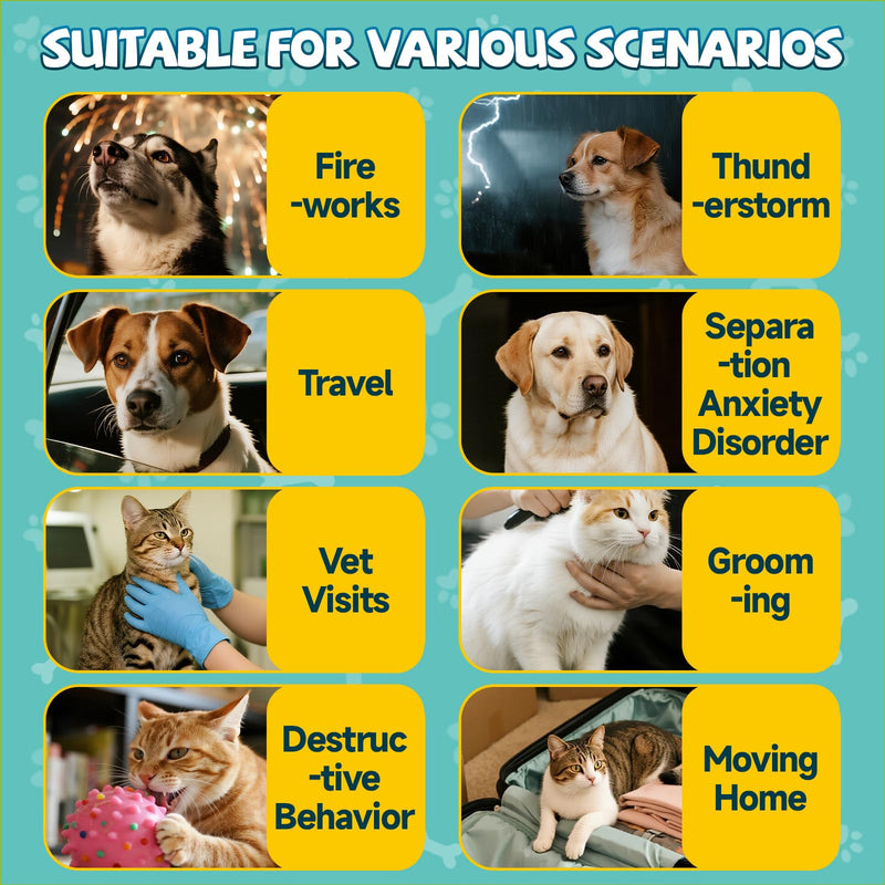 2 Pack Calming Drops for Dogs & Cats - Cat Calming Drops for Stress & Anxiety Relief with Schisandra, Dogs Calming for Travel, Vet Visits, Separation Anxiety, Storms, Fireworks - Chicken Flavor