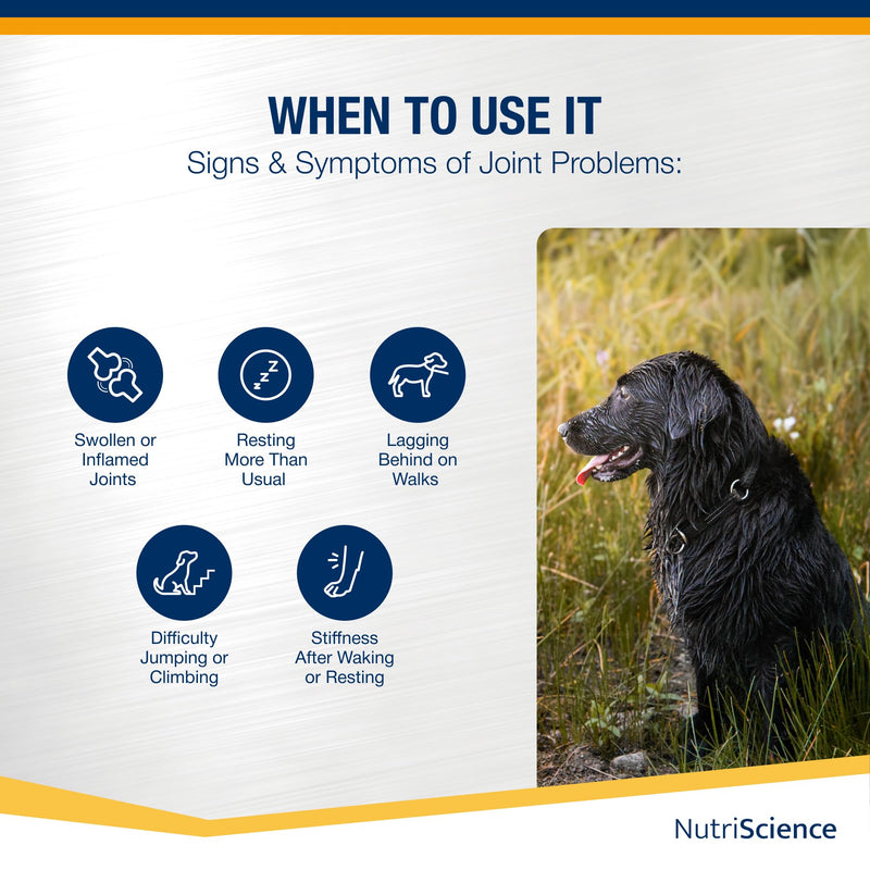 NutriScience Arthriaid Omega Dog Joint Supplement – Glucosamine, Chondroitin, MSM & Omega 3 – Supports Mobility, Relieves Stiffness & Promotes Cartilage Repair – 250ml 250 ml (Pack of 1)