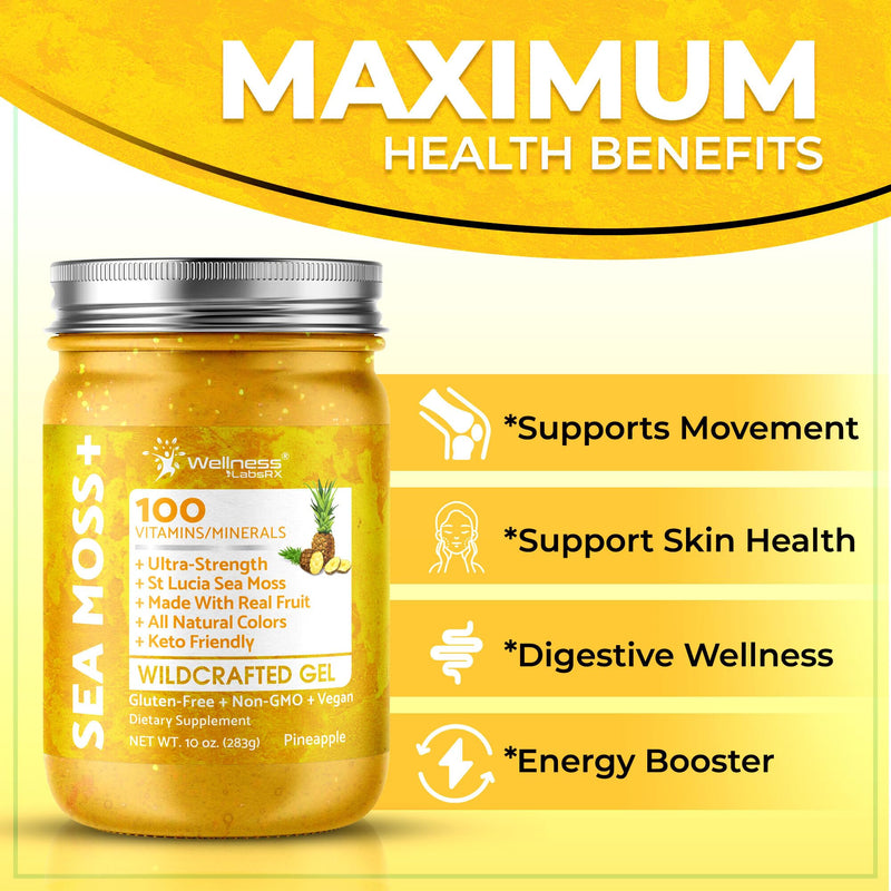 Irish Sea Moss Gel Superfood, Wildcrafted Seamoss Gel, Pineapple, 10 oz | Flavored Sea Moss Vitamin & Mineral Rich, Immune & Digestive Support, Caribbean Harvested, Musgo Marino, 1 Pack