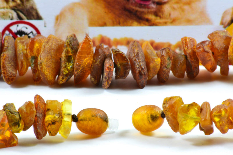AmberPetCare Amber necklace for dogs and cats made of raw Baltic amber (24) 24 - BeesActive Australia