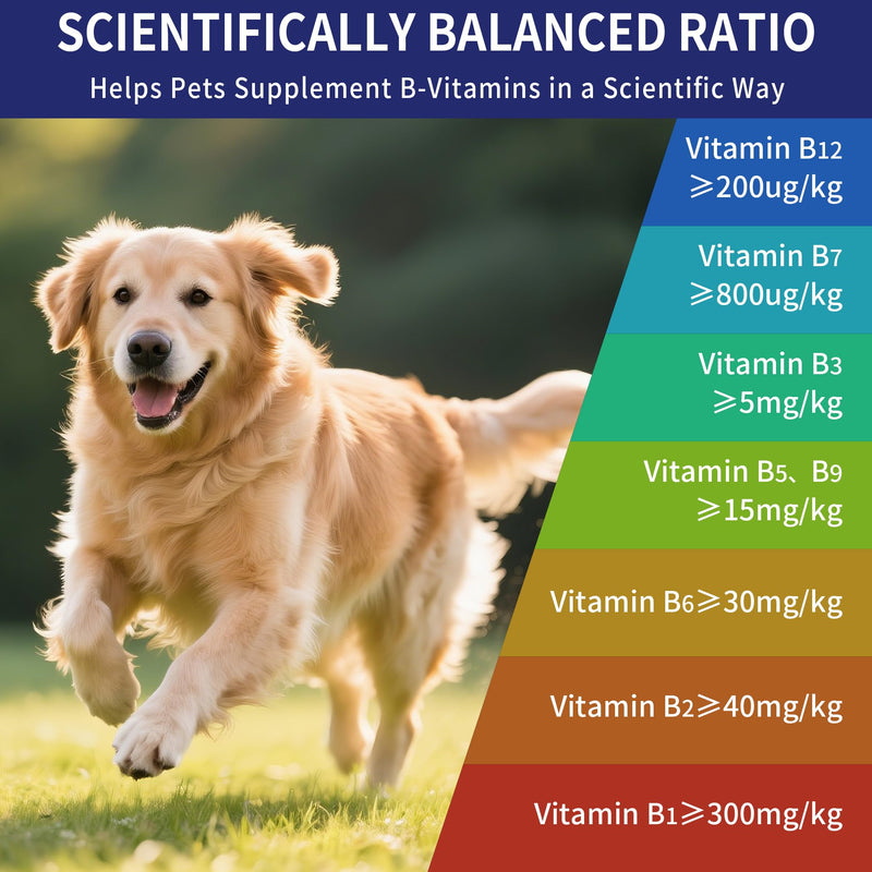 Vitamin B for Dogs, 200 Tablets, Vitamin B Complex Contains B12, B1, B2, B3, B5, B6, B7, B9 Supports Energy, Appetite, Digestive, Skin, Coat, Neurological Health, Suitable for Cats and Dogs(1 Bottle) Blue 1 Bottle (200pcs in total)