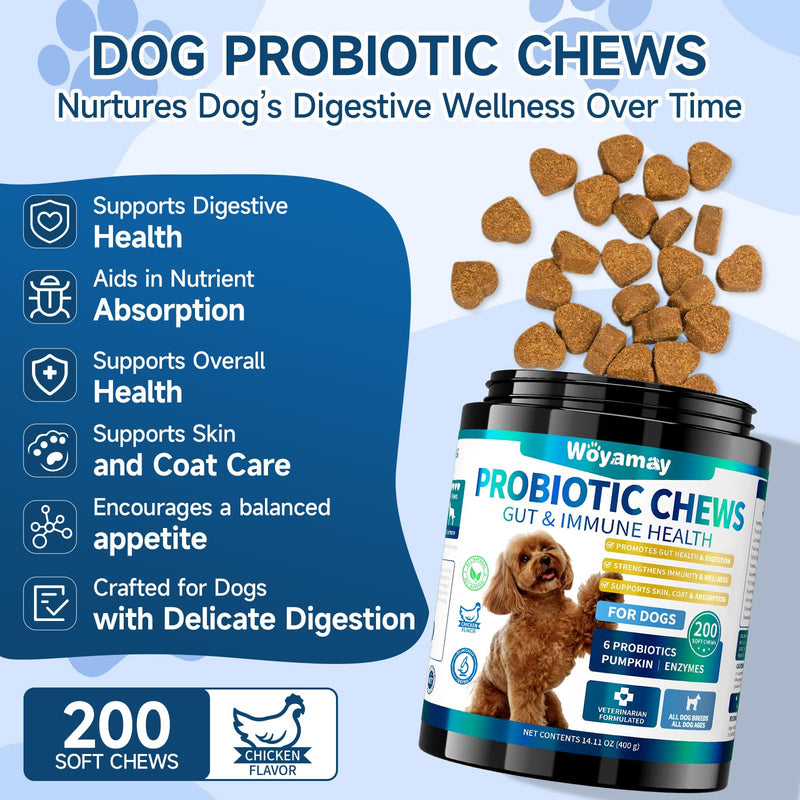 Dog & Cat Probiotics Chews, Gut Health for Dogs + Allergy Itch Relief for Cats, Digestive Immune Skin Support, Multi-Pet Household Solution, Chicken Flavor Soft & Crunchy Chews