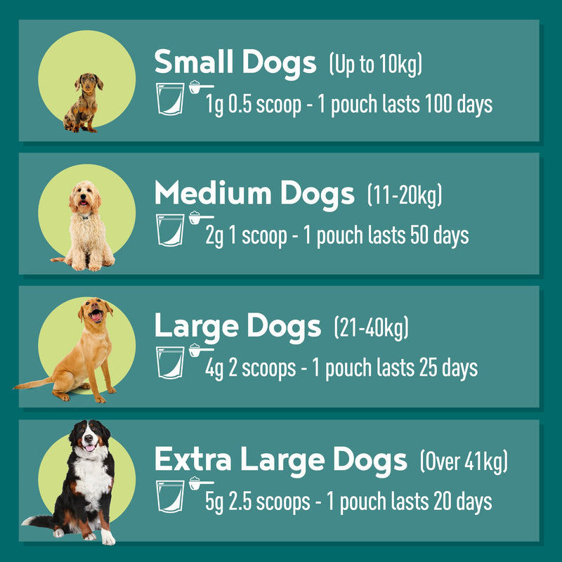 Senior Calm-K9 | Calming Support Supplement for Senior Dogs | Supports Relaxed Behaviour During Fireworks & Travel | Natural Ingredients & Superfoods | Mix with Dog Food