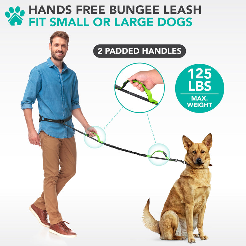 PetAmi Heavy Duty Hands Free Dog Leash, Adjustable Waist Belt for Large Dog Walking Up to 125 lbs, Bungee Leash for Pet Running, Hiking, Reflective Safety for Jogging, Biking, Green Handle 1 Leashes