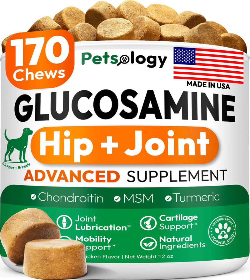 Glucosamine for Dogs - Hip and Joint Supplement for Dogs - 170 Mobility Chews - Glucosamine Chondroitin - MSM - Turmeric - Joint Pain Relief - Advanced Support for Dog Health - Made in USA 170 Chews Glucosamine Chews