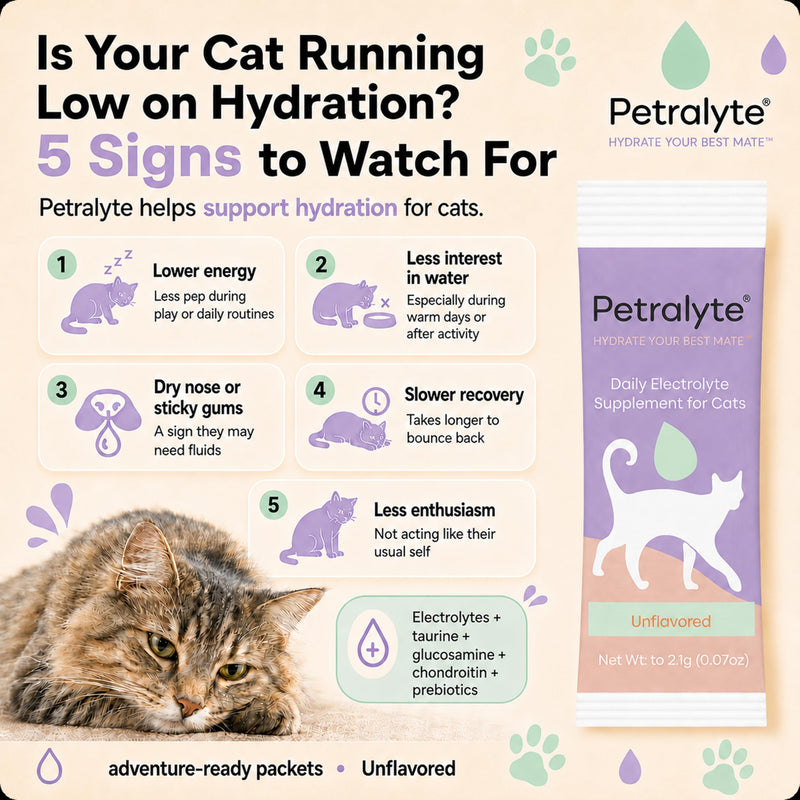 Petralyte Cat Hydration Electrolyte and Cat Joint Supplement | Hydration Support for Cats w/Glucosamine, Chondroitin, L-Glutamine, Taurine, Lysine & Prebiotics | Unflavored | 16 Packets 1-Pack (16 Packets)