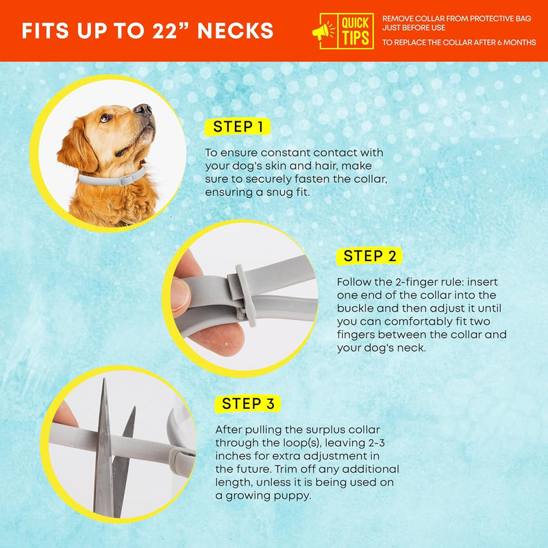 Dog Flea Tick Prevention Collar: Effective Flea Collar and Prevention for Dogs - Safe Dog Ticks Fleas Collars - Reliable Tick Flea Collars for Dogs - 24 Month Protection 4-Pack… 4 Pack - BeesActive Australia