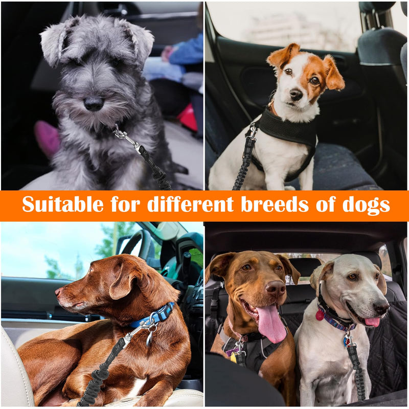 DATEFUN Dog Seat Belt Car Adjustable - Pack of 2 Seat Belt Dogs with Cushioning and Storage Bag for All Dog Breeds & Car Types (50-88 cm) - BeesActive Australia