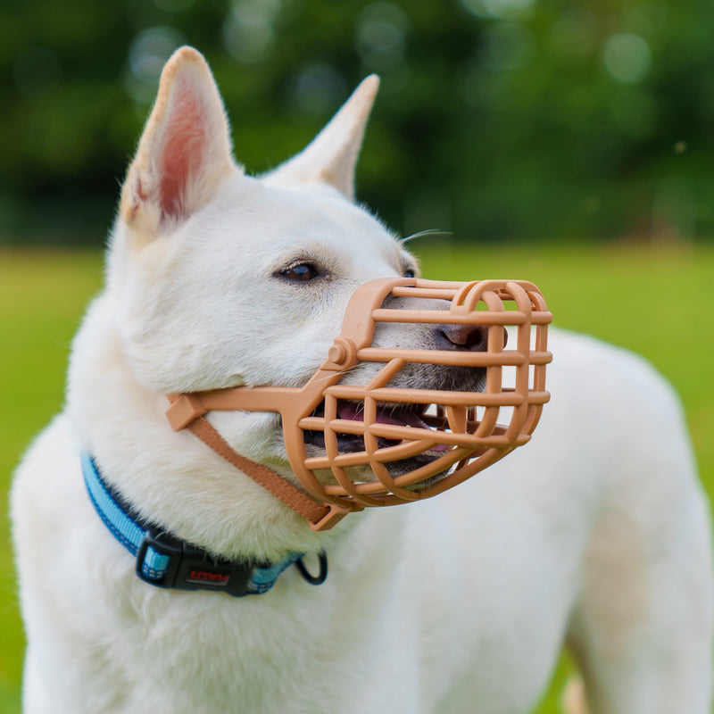 BASKERVILLE CLASSIC MUZZLE - Allows panting and drinking, prevents biting and searching for food, ideal for dogs with long noses, training muzzle for large dogs (size 9) TPR - BeesActive Australia