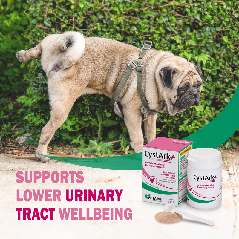 CystArk+ Powder | Supports Urinary Health in Dogs & Cats | Easily administered | 30 g 30g powder