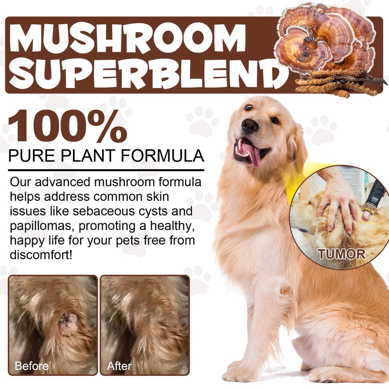 Mushroom Supplement Powder for Dogs & Cats, 11 Mushroom Powder Blend Natural Dog Digestive & Immune Support Chaga, Reishi, Lion's Mane, Turkey Tail, Bacon Flavor 120g.
