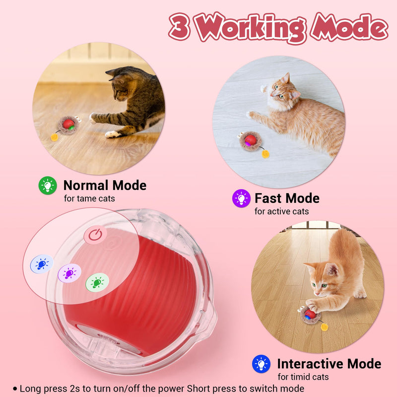 JAKPAK Cat Toys Interactive Cat Toy Ball with Plush Cover for Indoor Cats Bird Chirping and Strong Power Drive Dog Cat Toy Moving Automatic Dog Cat Toys for Bored Indoor Cats of All Ages (Red) - BeesActive Australia