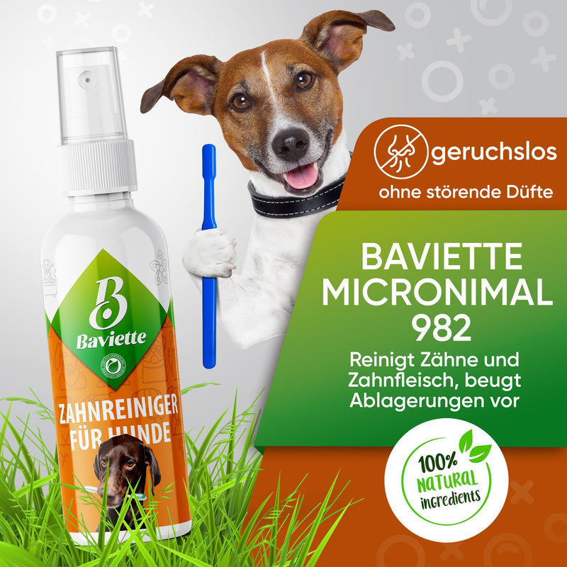 Baviette Dog Dental Care: 100 ml Gentle Brush-Free Tooth Cleaner with Microorganisms – Odourless, Tasteless, Alcohol-Free & Fragrance-Free – Made in the EU