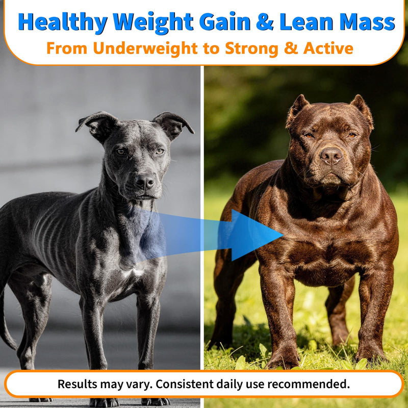 Muscle Gain Power Soft Chews for Dogs– Dog Weight Gainer Treats with BCAA Amino Acids for Muscle Build,Growth & Recovery, L-Arginine & L-Glutamine,for Bully & All Breeds,100 Counts