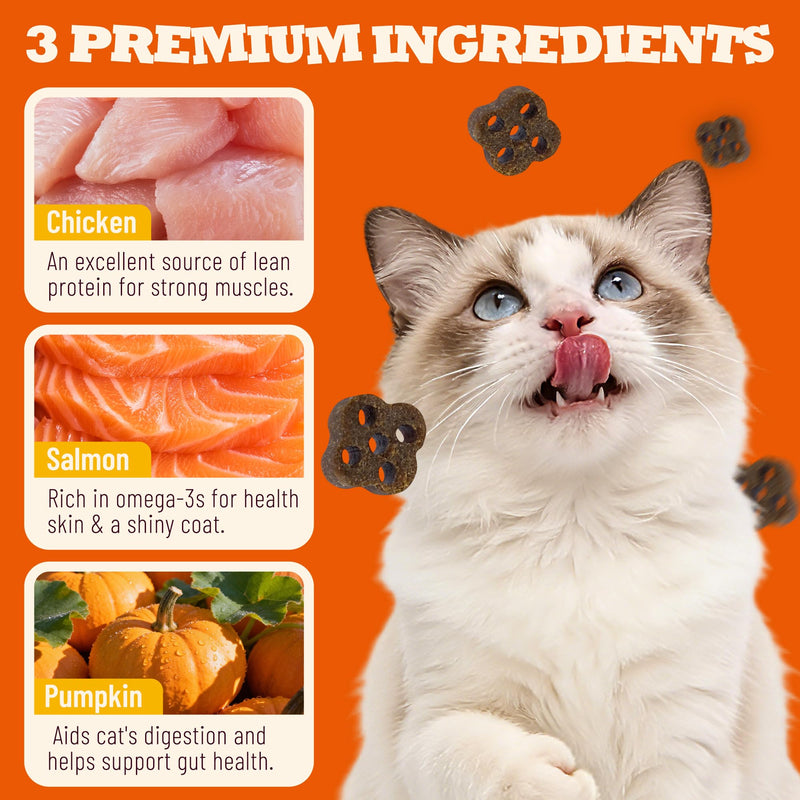 7.05 oz Soft Cat Dental Treats Cat Treats for Indoor Cats Chicken Flavor Pumpkin Added Cat Training Treats 7.05 Ounce (Pack of 1)