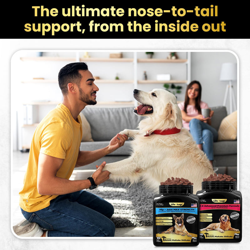 Hip and Joint Supplement and 23-in-1 Multivitamin Chews Bundle for Small, Medium and Large Dogs - 180 Count