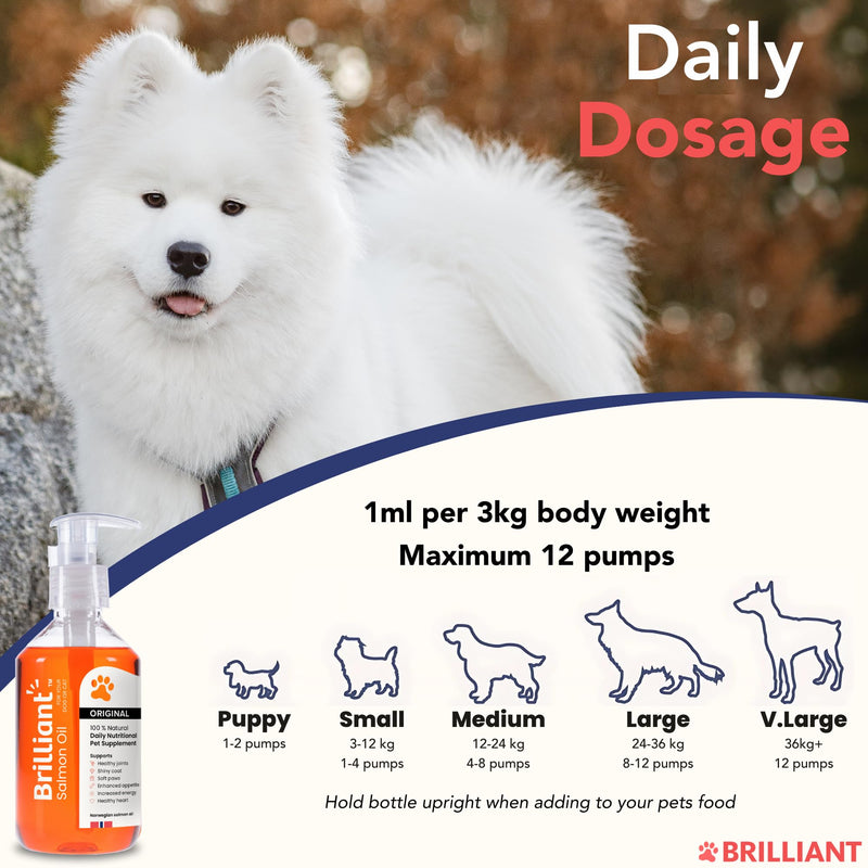 Brilliant Norwegian Salmon Oil for Dogs, Cats, Horse, Ferret - Pure Omega 3, 6 & 9 Fish Oil Food Treats Supplement for Natural Coat, Immune Support, Itchy Skin, Joint & Brain Health - 2x300ml 300 ml (Pack of 2)