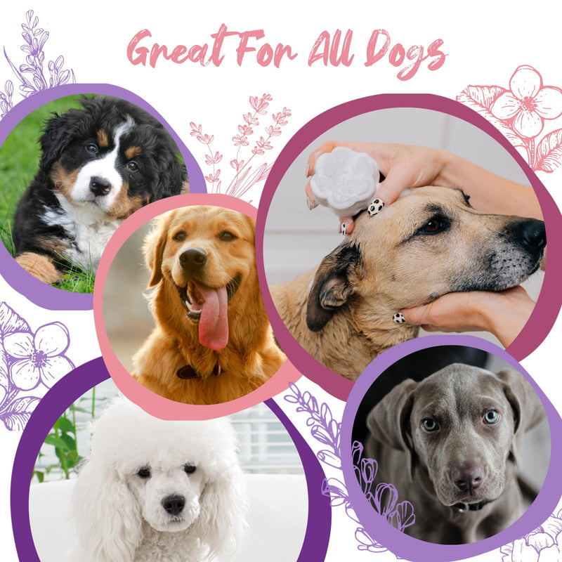 Pawson Dog Shampoo Bar - Natural Pet Shampoo with Rice Water and Aloe for Animals, Puppy Essentials, Jasmine and Lavender Scent - PawsPlanet Australia