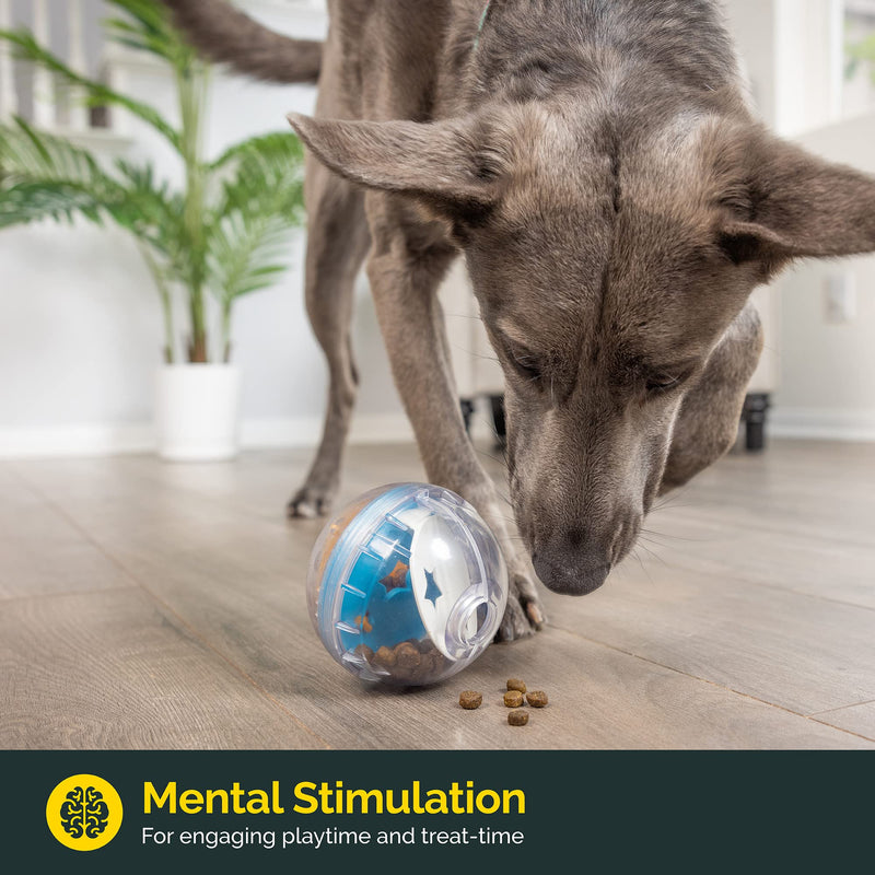 Pet Zone IQ Treat Ball Dog Treat Dispenser Toy Ball Interactive Dog Toy - 4" Dog Food Toy Stimulation, Slow Feeder 4 inch (Pack of 1) - BeesActive Australia