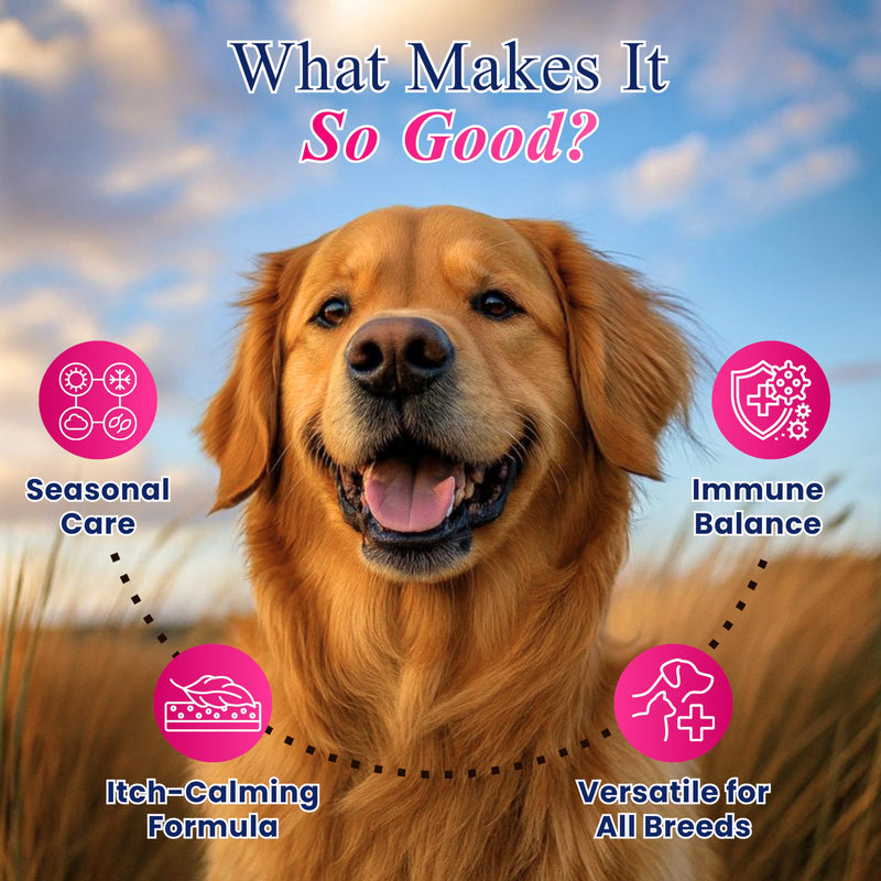 Petroyale Dog Allergy & Itch Support Chews - Dog Allergy Chews for Itchy Skin Relief, Immune Support, Skin & Coat Health - Anti Itch Chews for Dogs, Seasonal Allergy Relief - 50 Soft Chews 50 Chews