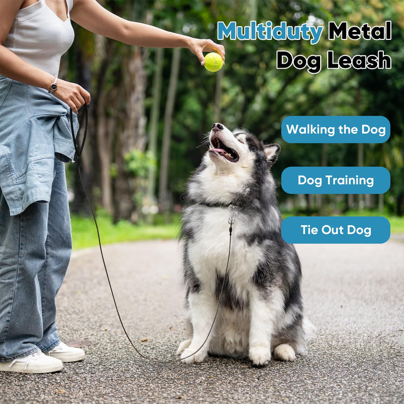 Petbobi Chew Proof Dog Leash - 6FT Metal Cable with Comfortable Padded Handle, Heavy Duty Dog Leashes for Walking Training Jogging, Brown Lead Rope for Large Medium Dogs Teething Puppies, 1pc 6ft/1pc - BeesActive Australia
