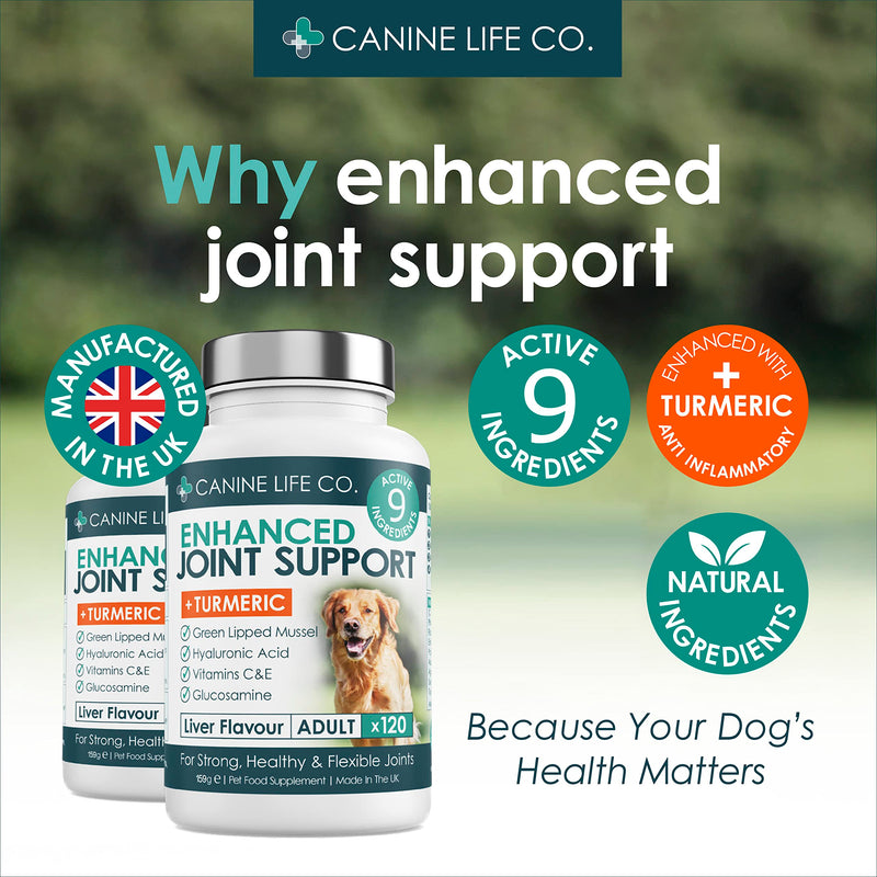 Enhanced Adult Dog Joint Supplements With Turmeric, Glucosamine & Green Lipped Mussel | 120 Chewable Tablets | Made In The UK (1 Pot (120 Tablets)) 1 Pot (120 Tablets)