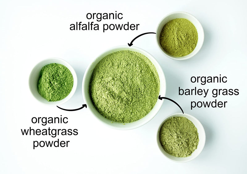 Food to Live Organic SuperGrass Powder Blend ‚Äì Mixed Alfalfa, Barley Grass, and Wheatgrass Powders. Non-GMO, Pure Superfood, Vegan, Kosher, Bulk. Mixes Well. Perfect for Smoothies, and Shakes 12 Ounce (Pack of 1) - BeesActive Australia