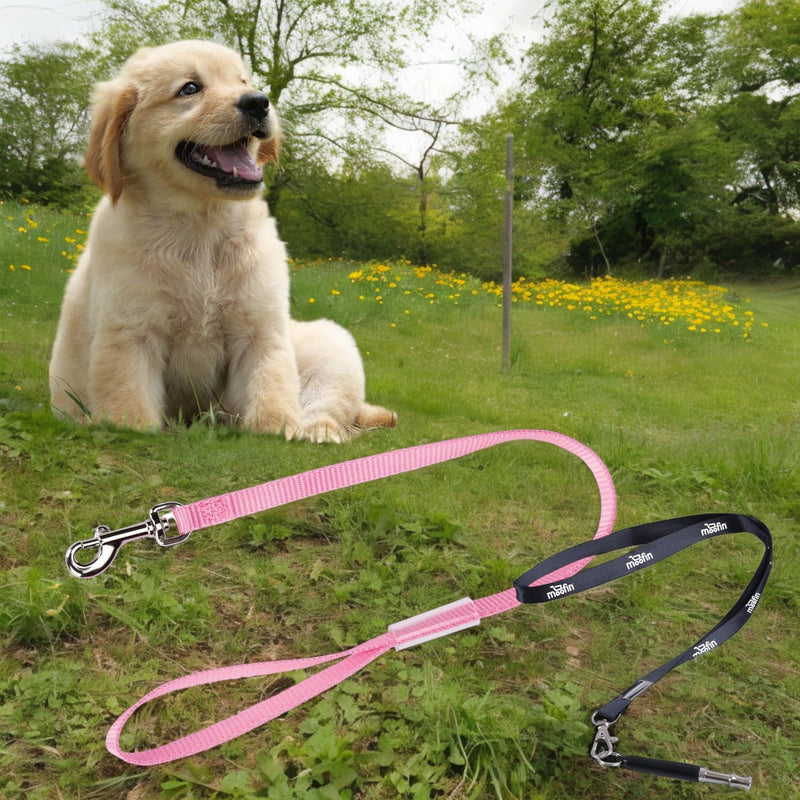 Grooming Loops, 18", 4 Count, Durable Nylon for Dogs, with Moofin SS Pet Training Whistle, Dog Nylon Leash, Dog Grooming Essentials, Comfortable & Secure, [Pack of 2 ] - BeesActive Australia