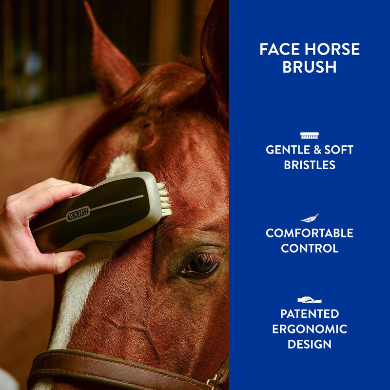 WAHL Professional Animal Equine Grooming Face Horse Brush - Black Face Brush - BeesActive Australia