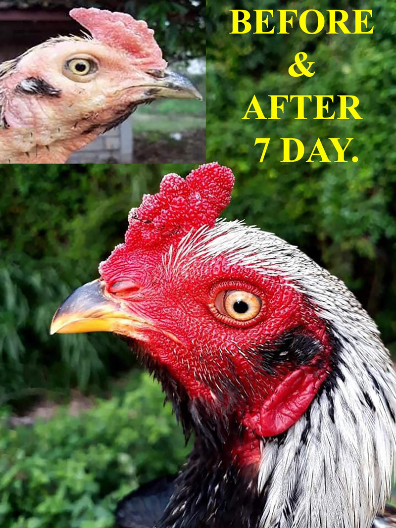 HULX Faster X3 New Formula Vitamins Health Chicken Supplement Capsules Faster X3 New Formula Whey Protein+ & Restore+ 90 Capsules