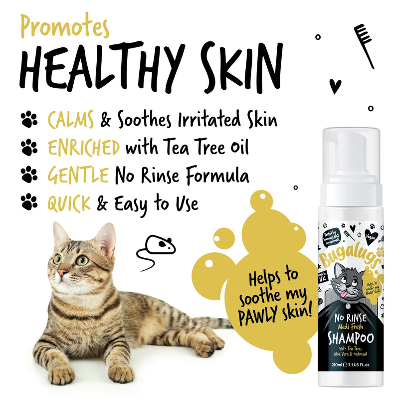 Bugalugs No Rinse Cat Shampoo for itchy skin with Tea Tree & Aloe Vera. Brush through, no rinse shampoo & conditioner for cats and kittens. Foam action grooming dry kitten (No Rinse Shampoo)