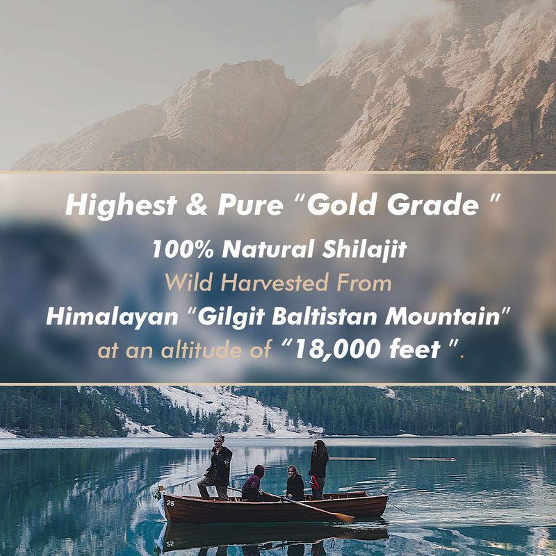 Shilajit Purest Himalayan Shilajit Resin - Gold Grade 100% Pure Shilajit with Fulvic Acid & 85+ Trace Minerals Complex for Energy & Immune Support, 30 Grams (2 Months Supply) 1 Fl Oz (Pack of 1) - BeesActive Australia