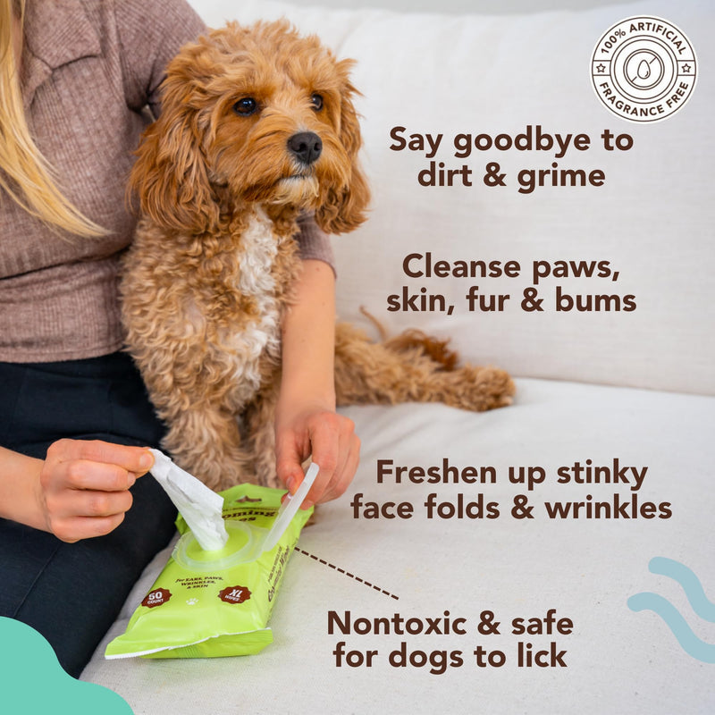Natural Dog Company Grooming Bundle with (1) Itchy Dog Shampoo,12 oz. and (3) Grooming Wipes, 50 Count Each - PawsPlanet Australia