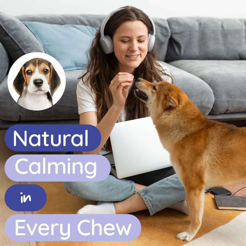 PureBlend Dog Calming Treats — Calming Chews for Dogs with Hemp Seed Oil, Chamomile & L-Theanine — 120 Chews, Up to 4 Month Supply