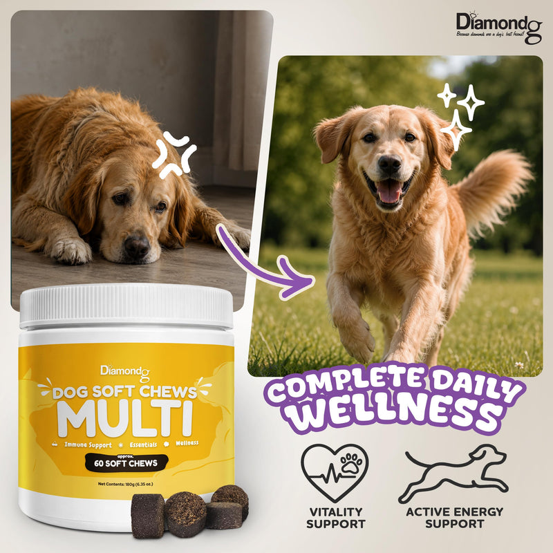 Diamondg Dog Mutivitamin Chews with Turkey Tail & Probiotics, 60ct - All in One Dog Nutritional and Health Supplement to Support Critical Immune Defense for Puppy & Senior, Daily Multivitamin for Dogs