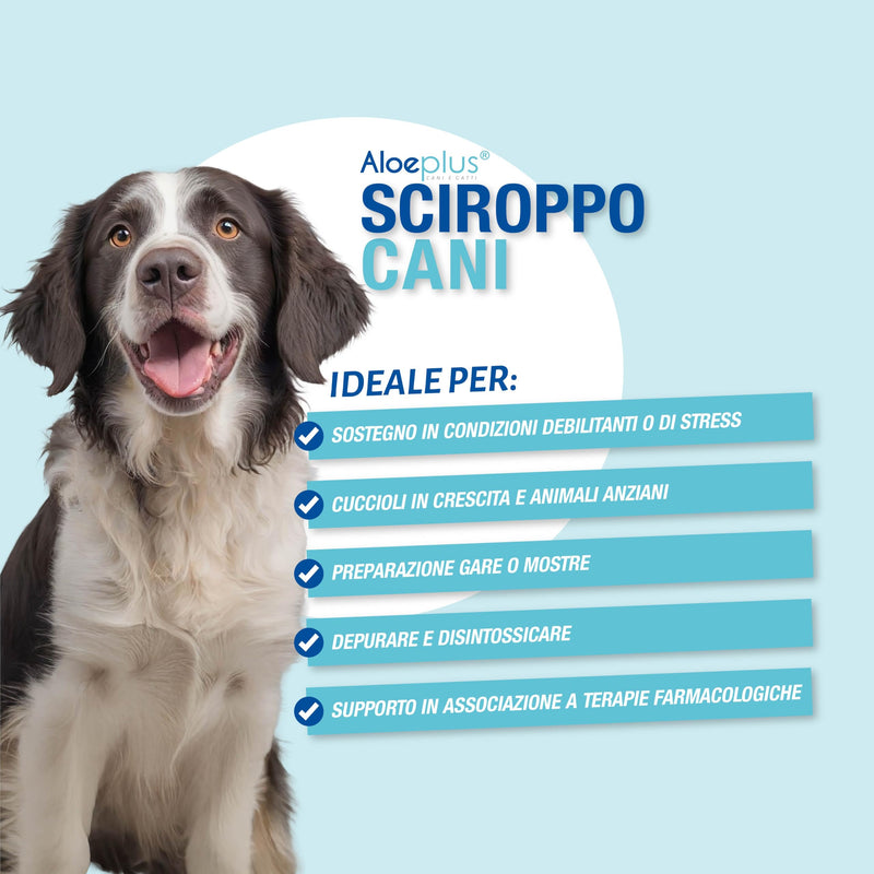Dogs Syrup 250ml - Energy-Boosting, Detoxifying Complementary Food Made with Organic Aloe Arborescens, Strengthens Natural Defenses, Ideal as a Tonic for Senior Dogs and Puppies