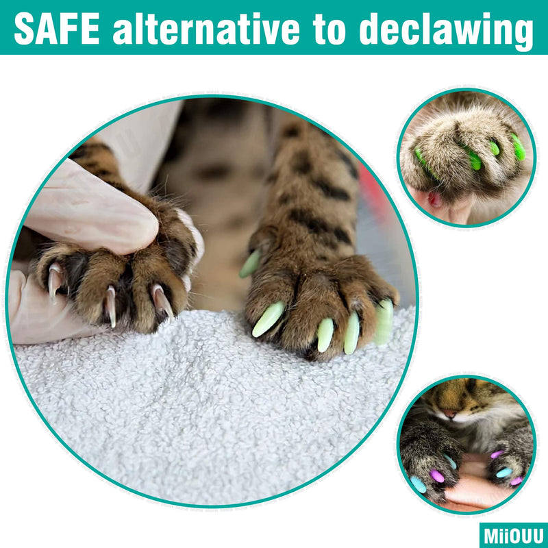 100 pcs Cat Nail Caps | Cat Claw Covers with Adhesives and Applicators | Black (XS) XS - BeesActive Australia