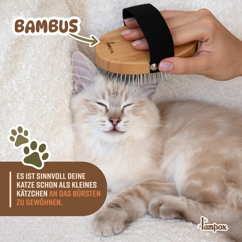 Fur brush, dog brush, animal brush, dog hair brush, premium brush for dogs and cats for gentle grooming, curry comb for dogs and cats, dog comb with massage effect, pet brush - BeesActive Australia