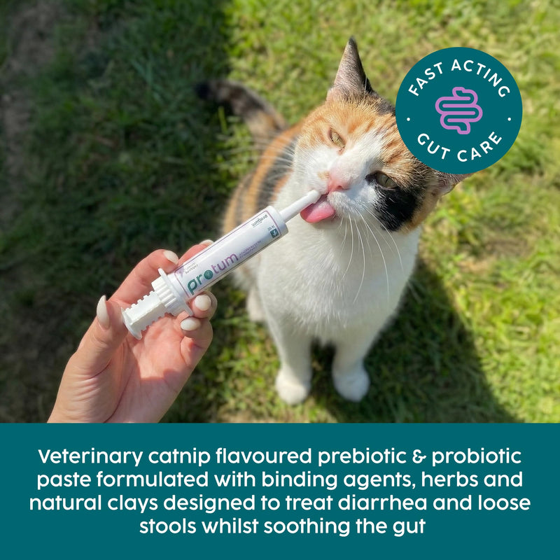 Probiotics for Cats Paste 15ml, Cat Diarrhea Treatment - New Formula for Easy Dispensing, Advanced Prebiotic, Diarrhea Relief, Restore Digestion, Loose Stools & Gut Balance - Catnip Flavoured