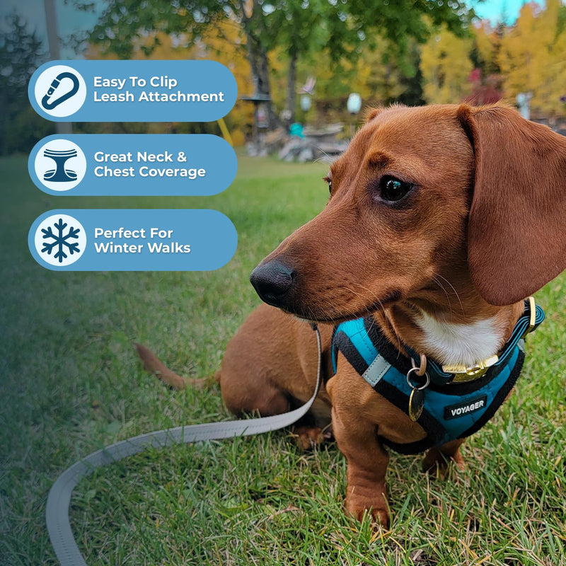 Voyager Step-In Plush Dog Harness – Soft Plush, Step In Vest Harness for Small and Medium Dogs by Best Pet Supplies - Harness (Turquoise Plush), L (Chest: 18 - 20.5") Harness (Turquoise Plush) L (Chest: 18 - 20.5") - BeesActive Australia