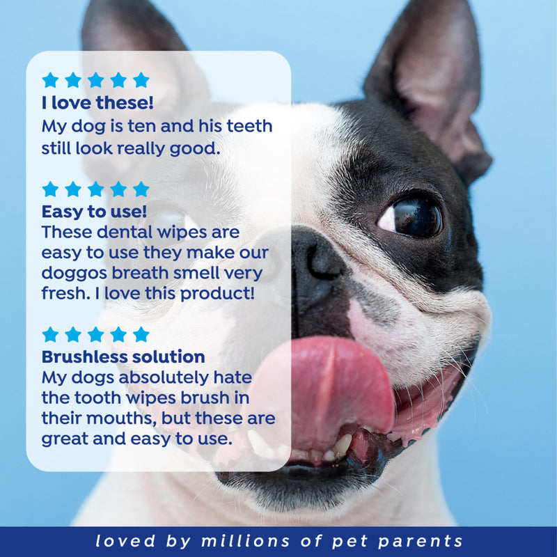 Naturel Promise Fresh Dental Disposable Dog Teeth Cleaning Finger Wipes, Easy to Use, for Cats & Dogs, 50ct