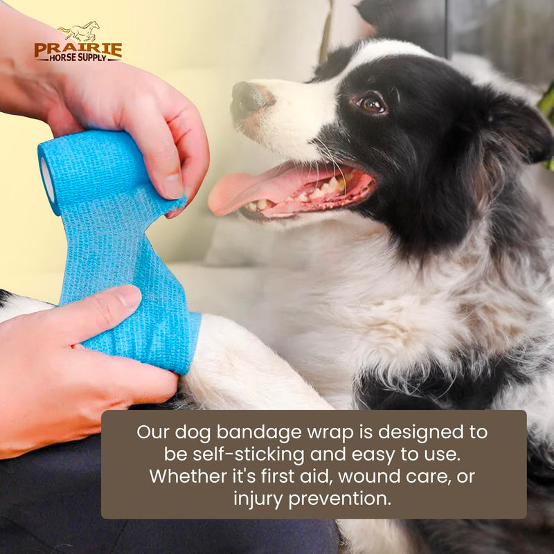 Prairie Horse Supply 24 Rolls Assorted Self Adhesive Bandage Wrap 4 Inch Elastic Cohesive Vet Tape for First Aid, Medical, Sport & Animals Wound - BeesActive Australia