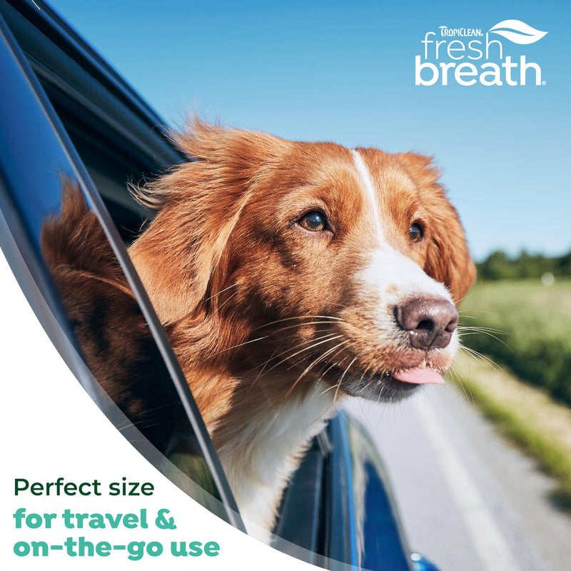 TropiClean Fresh Breath Dental Water Additive Concentrate | Dog Teeth Cleaning | Dog Breath Freshener | Dog Dental Care| Made in the USA | 2.2 oz. 2 fl oz (Pack of 1) - BeesActive Australia