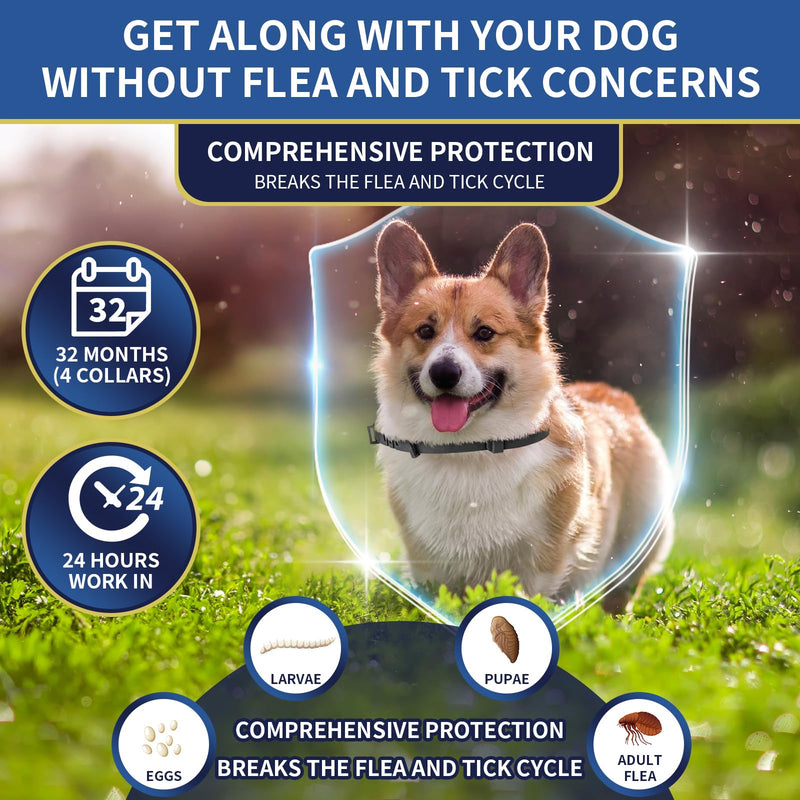 4 Pack Flea Collar for Dogs, Flea and Tick Collar for Dogs Puppies, 32 Months Flea and Tick Prevention for Dogs, Dog Flea Collar, Dog Flea and Tick Treatment-Black and Purple - BeesActive Australia