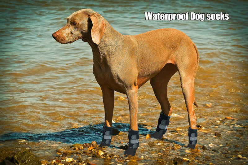 Waterproof Grip Dog Shoes,Anti-Slip Dog Socks Boots,Zipper Dogs Booties Paw Protectors for Hardwood Floor,Indoor and Outdoor for Small Medium Large Dogs Black L Large (Pack of 4) - BeesActive Australia