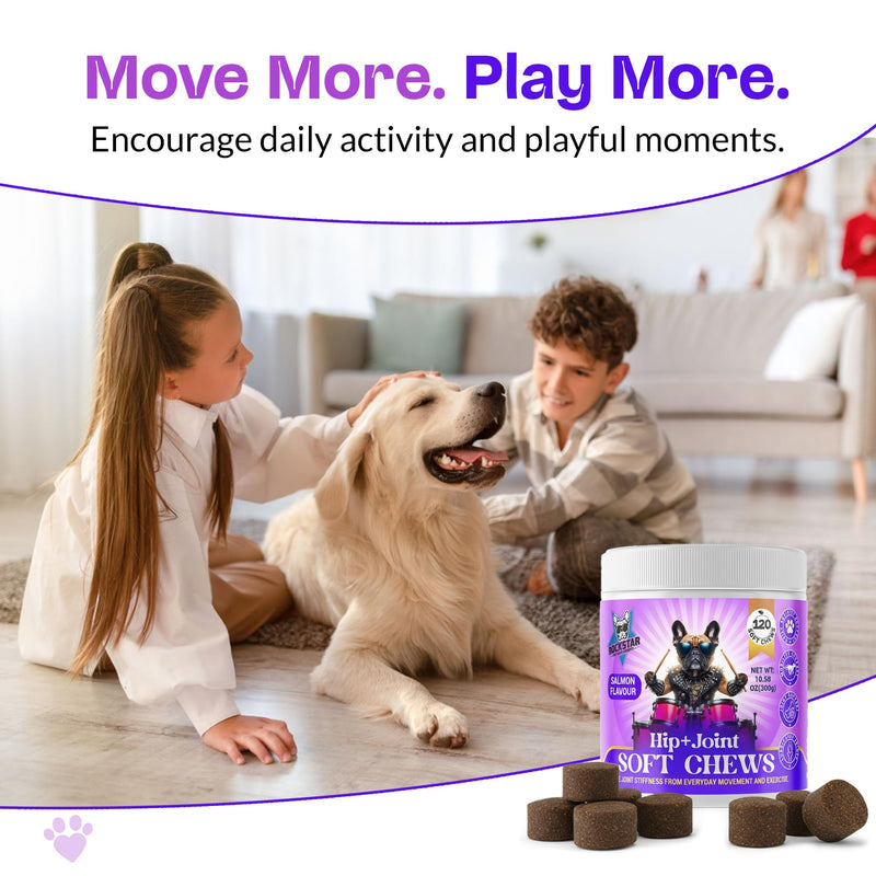 Hip+Joint Soft Chews for Dogs | Salmon Flavour | Daily Support with Chondroitin & MSM | Relieves Stiffness & Promotes Mobility-Perfect for Small, Medium & Large Dogs