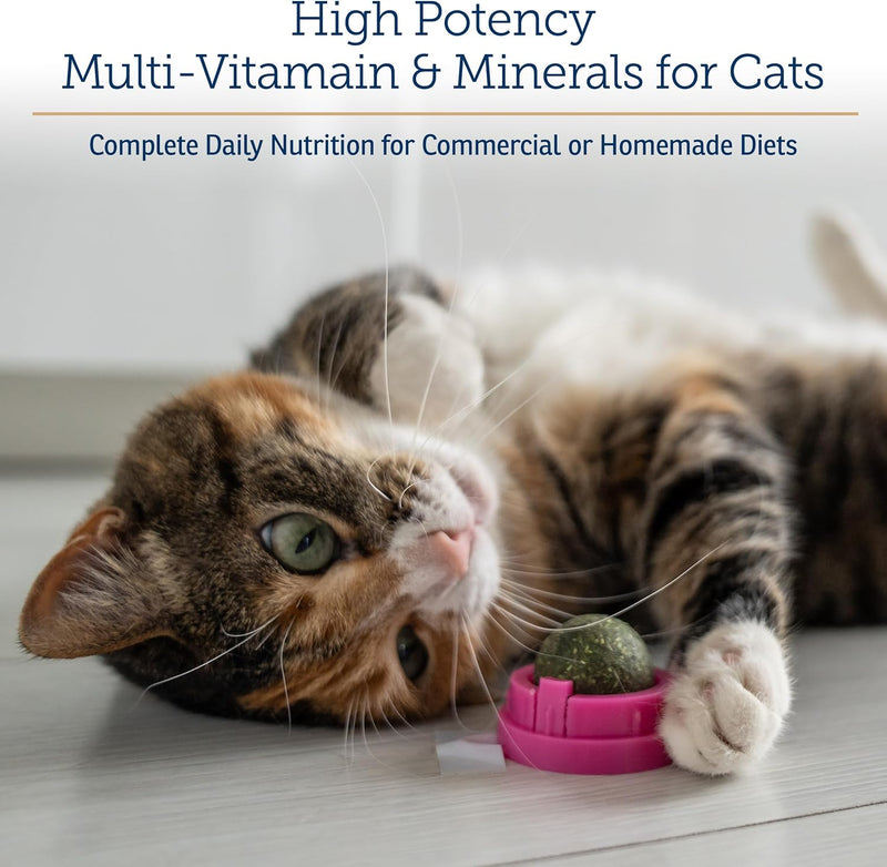 Rx Vitamins Essentials for Cats - Vitamin & Mineral Multivitamin Supplement - Add to Wet or Dry Cat Food - Powder 4 oz - BeesActive Australia