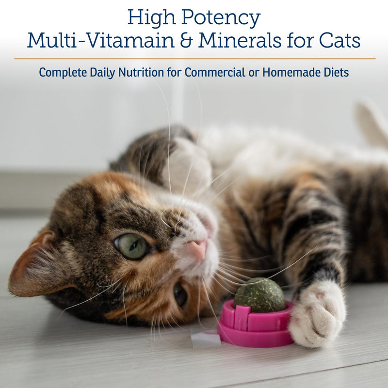 Rx Vitamins Essentials for Cats - Daily Immune Support and Overall Health - Featuring Taurine, Vitamin B12, & Milk Thistle - Cat Multivitamin and Multimineral Powder with Spirulina and Vitamin B - 4oz New Label