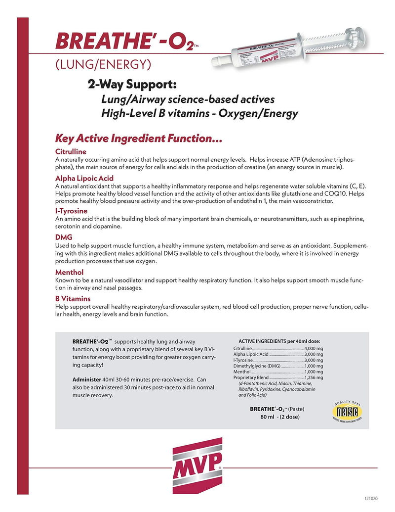 Breathe O'2 4 -Pack (8 doses) Pre-Race Paste to Support Lung/Airway Function in Horses - BeesActive Australia